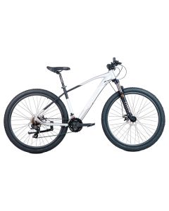 BICICLETA EXPLORER R29